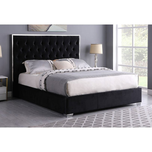 B600 Rose (Black) 55"H