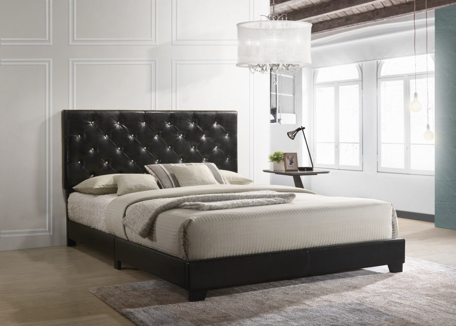 HH2020 - BLACK Full, Queen - Full